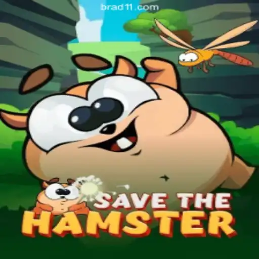 SavetheHamster: A Journey Through an Enchanting Gaming World